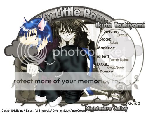 User Image