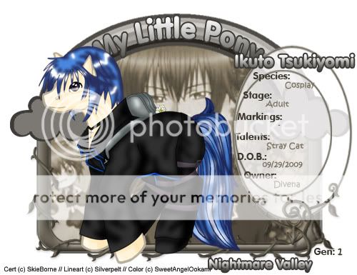 User Image