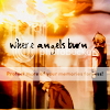 where angels burn.