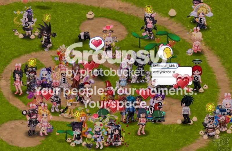 User Image
