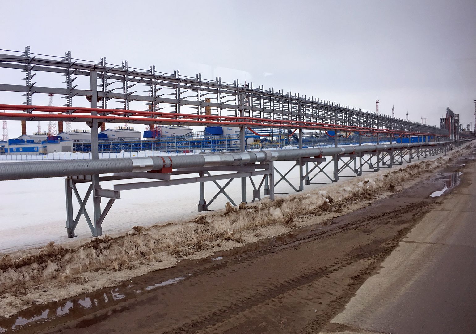 BVA0118.jpg