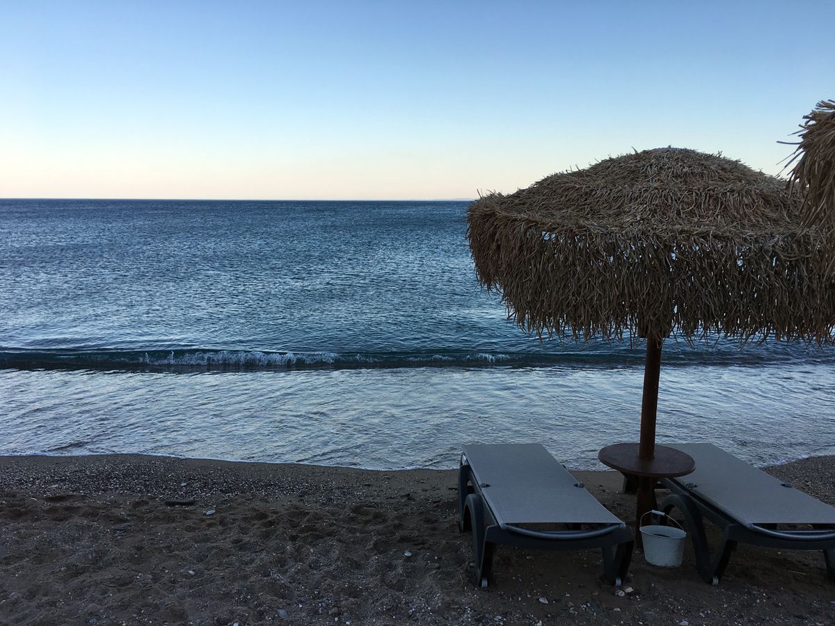 smi2019_0118.jpg