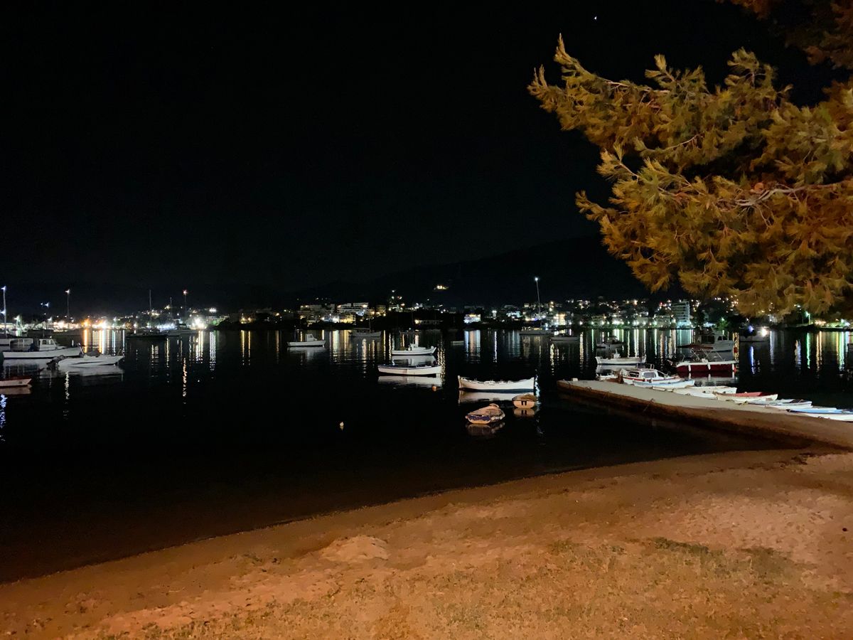 smi2019_0174.jpg
