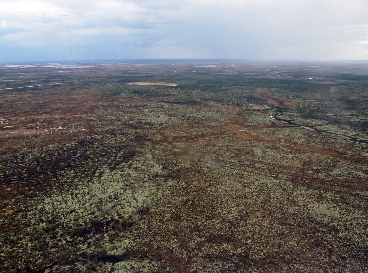 Nenets021.jpg