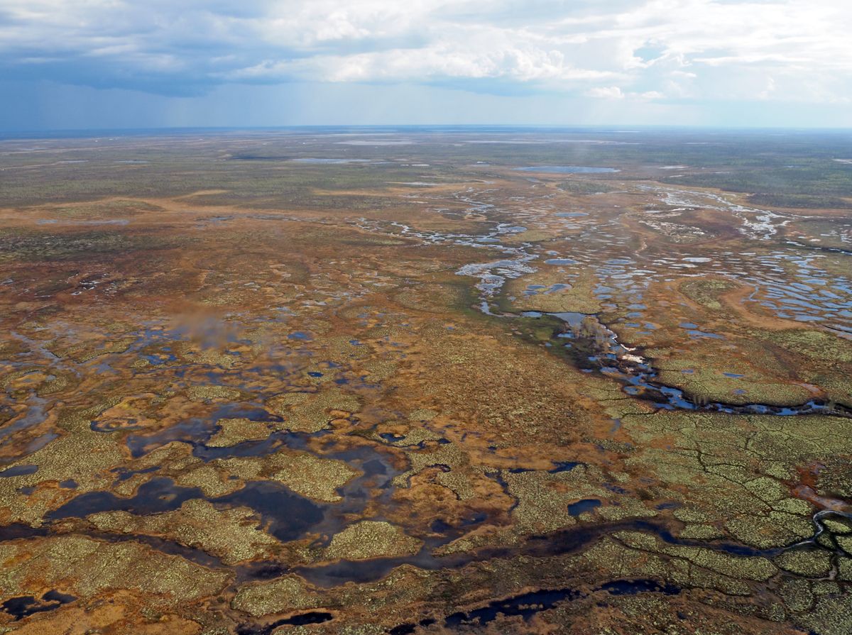 Nenets022.jpg