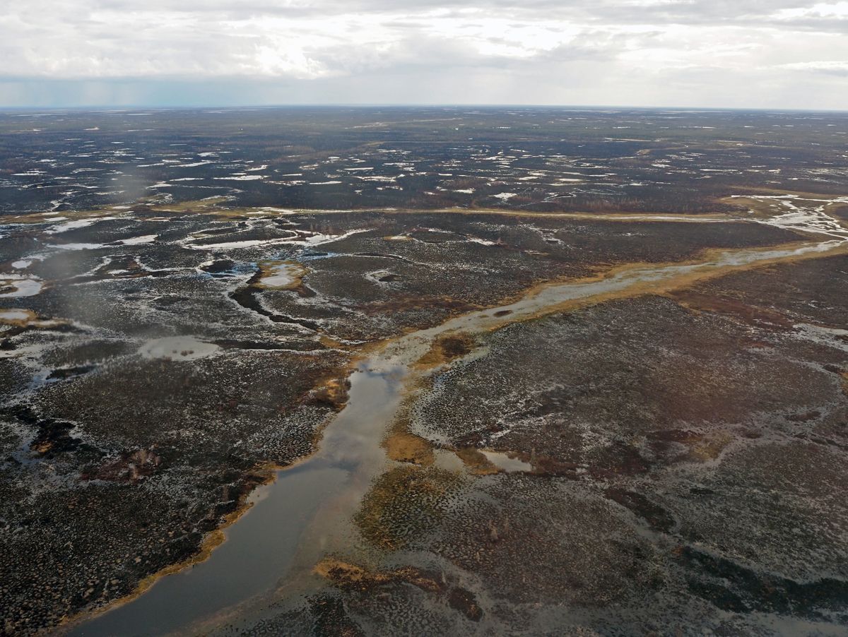 Nenets025.jpg