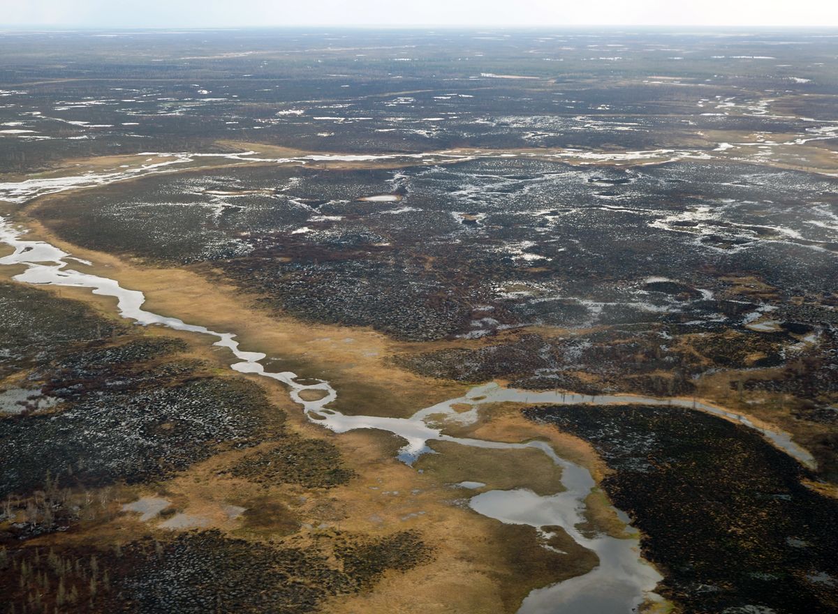 Nenets026.jpg