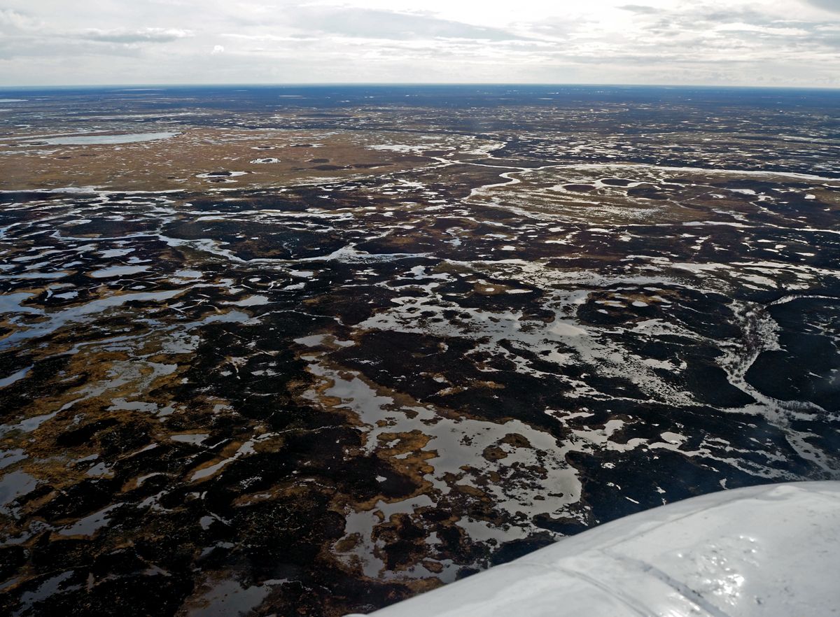 Nenets027.jpg