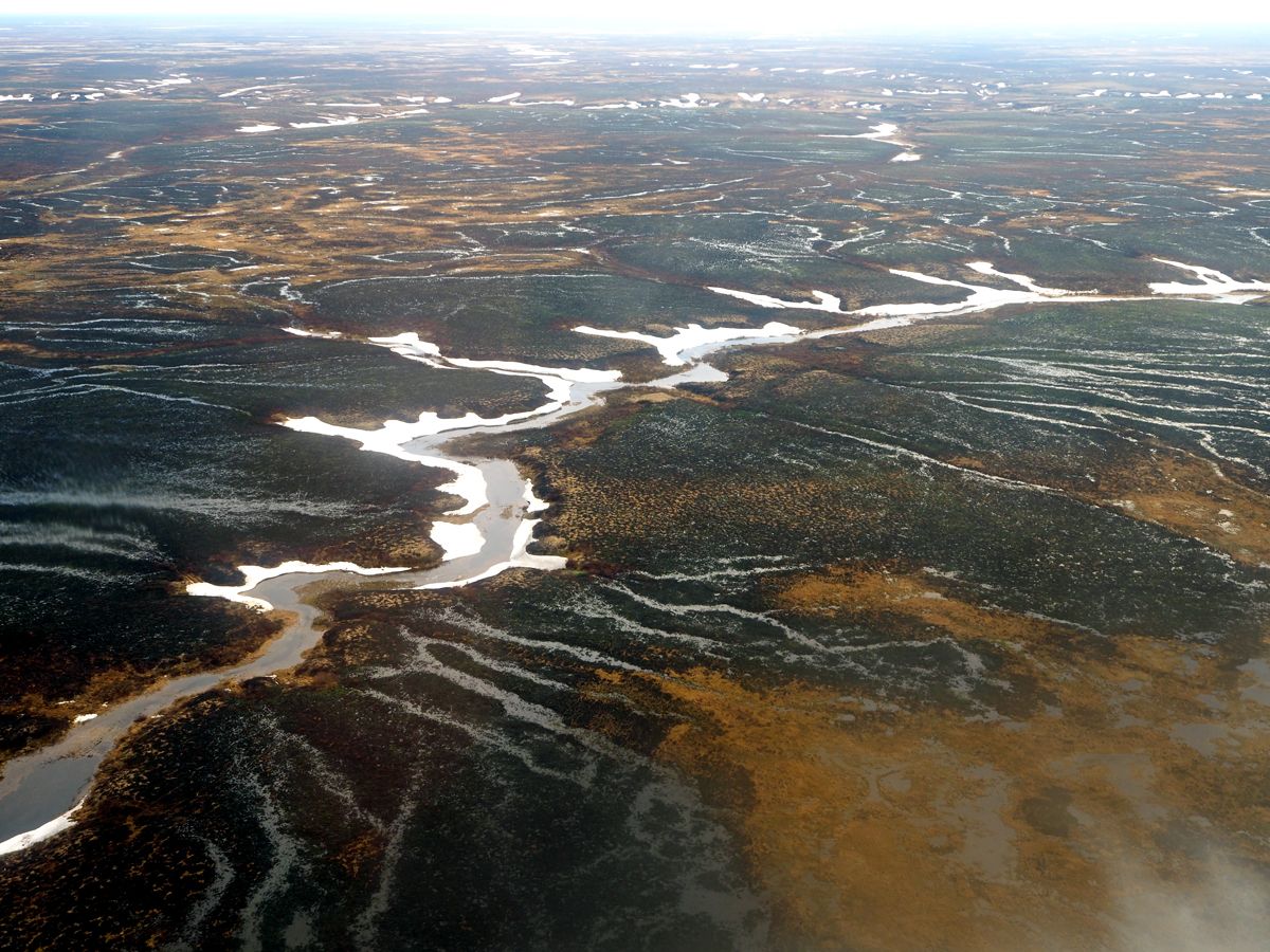 Nenets028.jpg