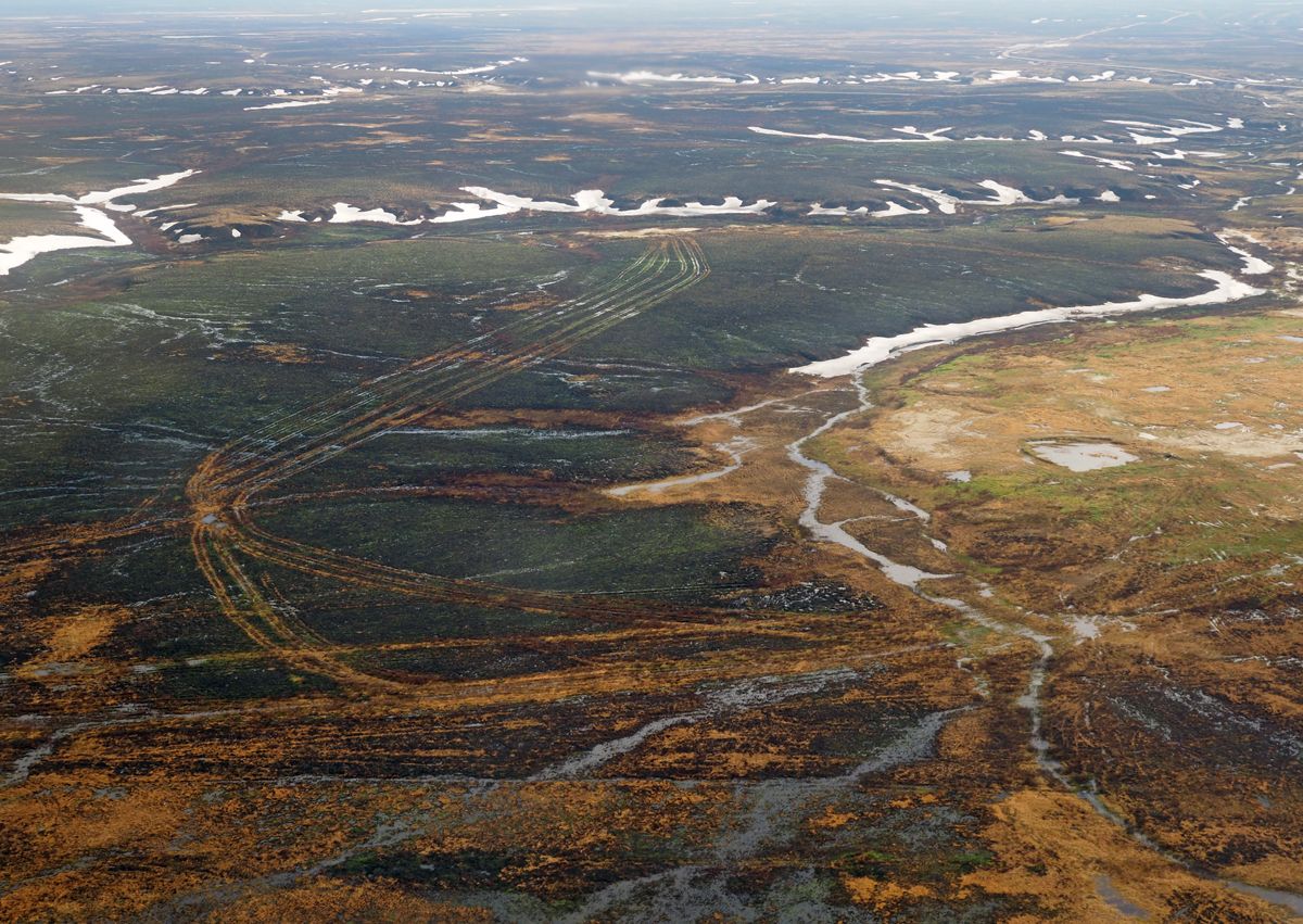 Nenets029.jpg