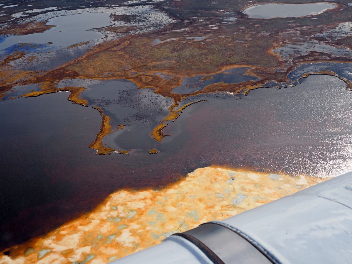 Nenets037.jpg