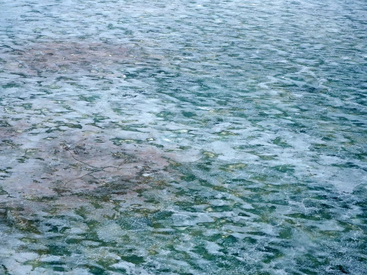 Nenets039.jpg