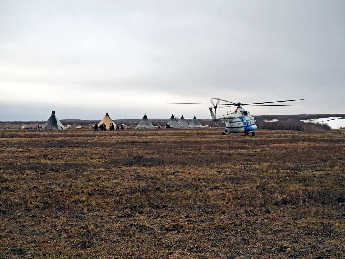 Nenets043.jpg