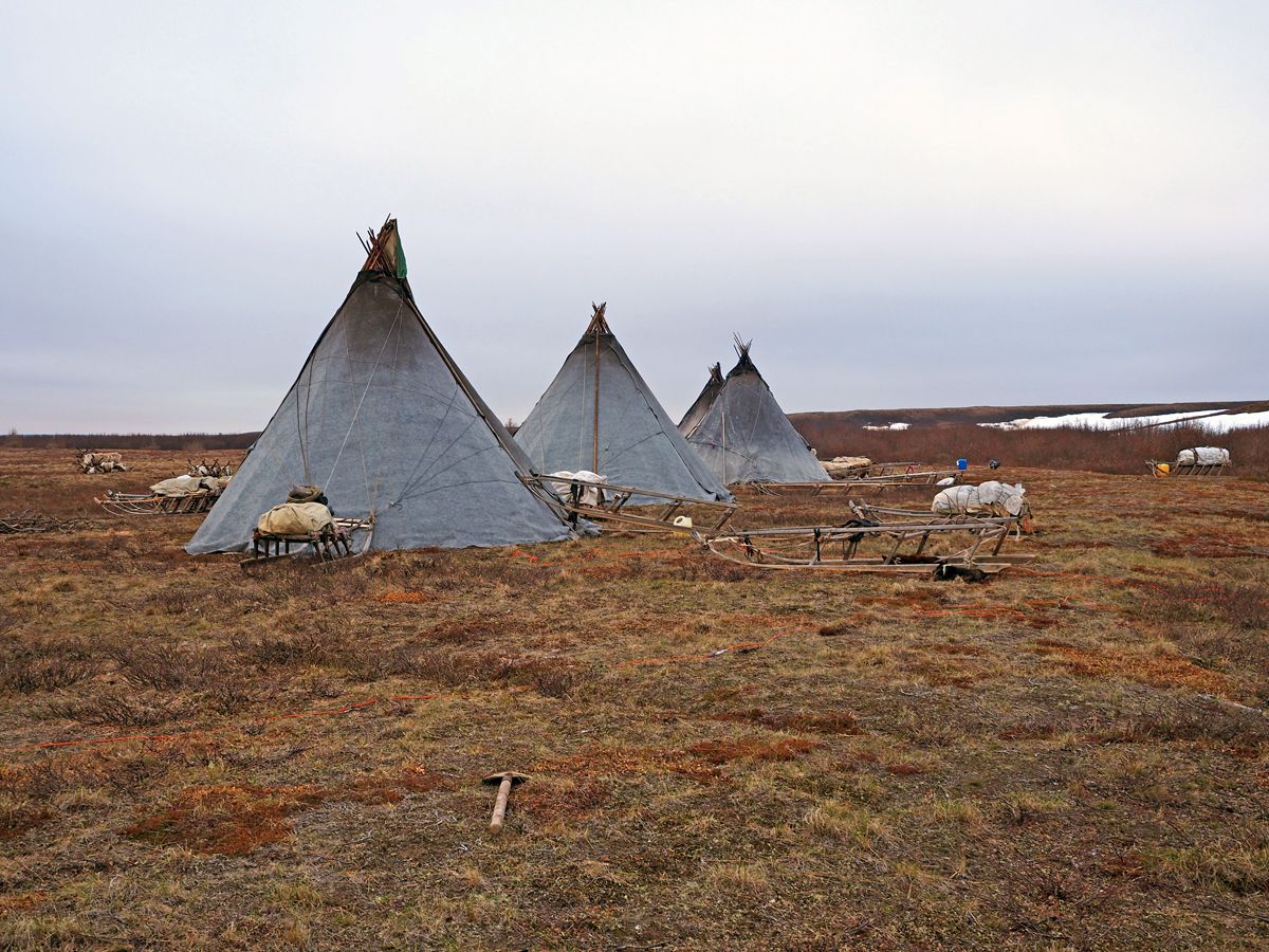 Nenets044.jpg