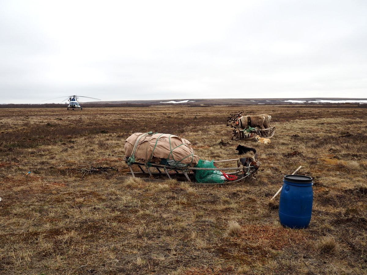Nenets046.jpg