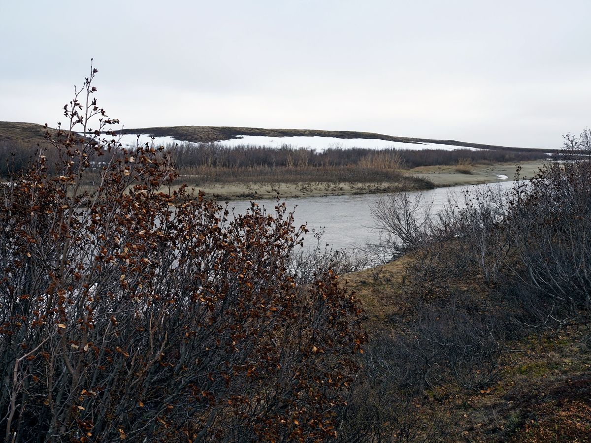 Nenets054.jpg