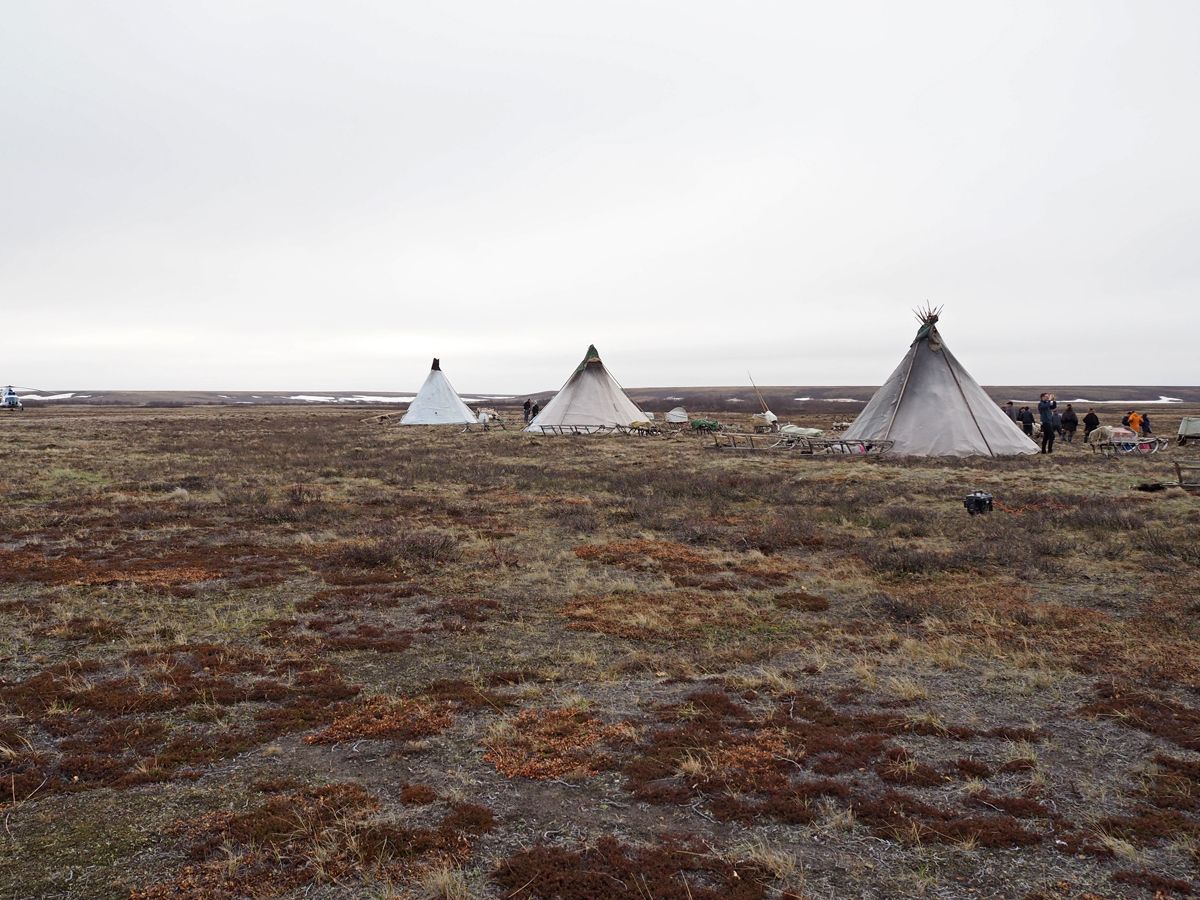 Nenets055.jpg