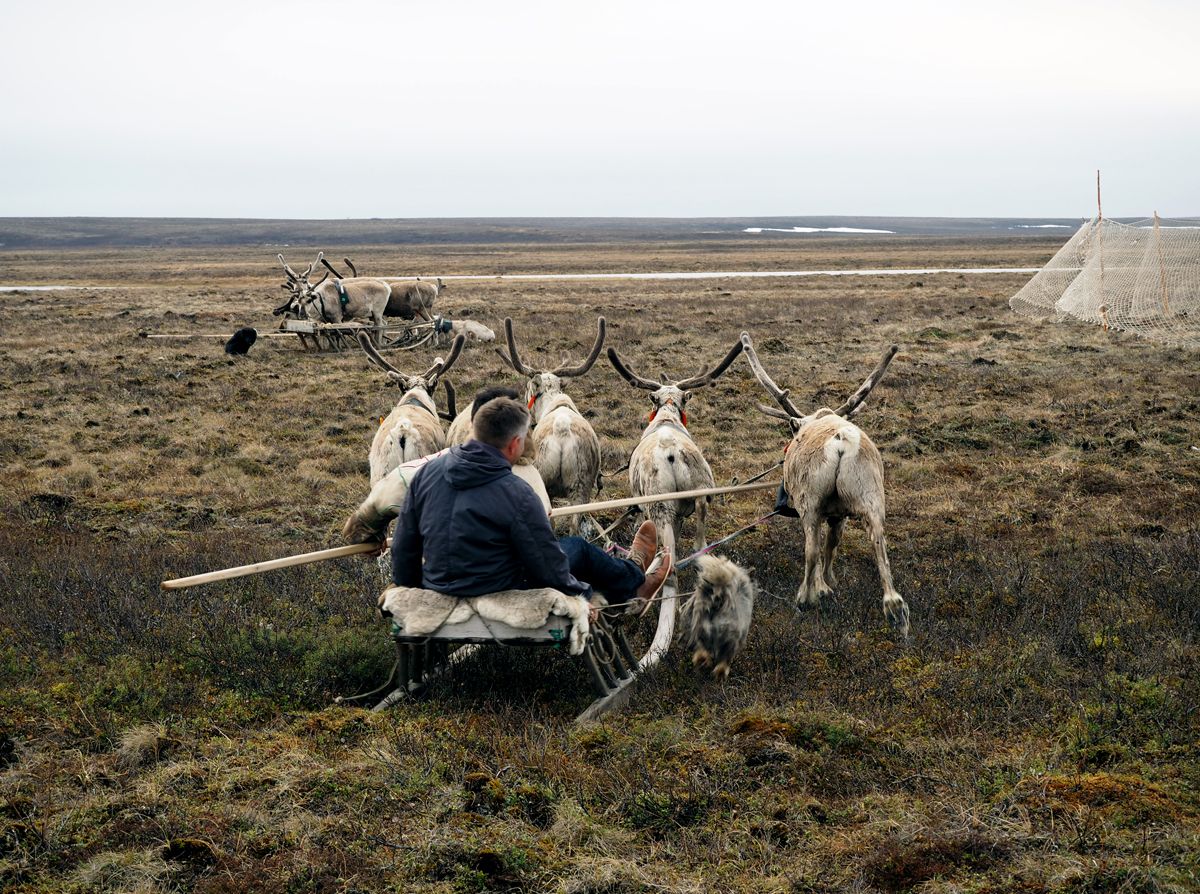 Nenets057.jpg