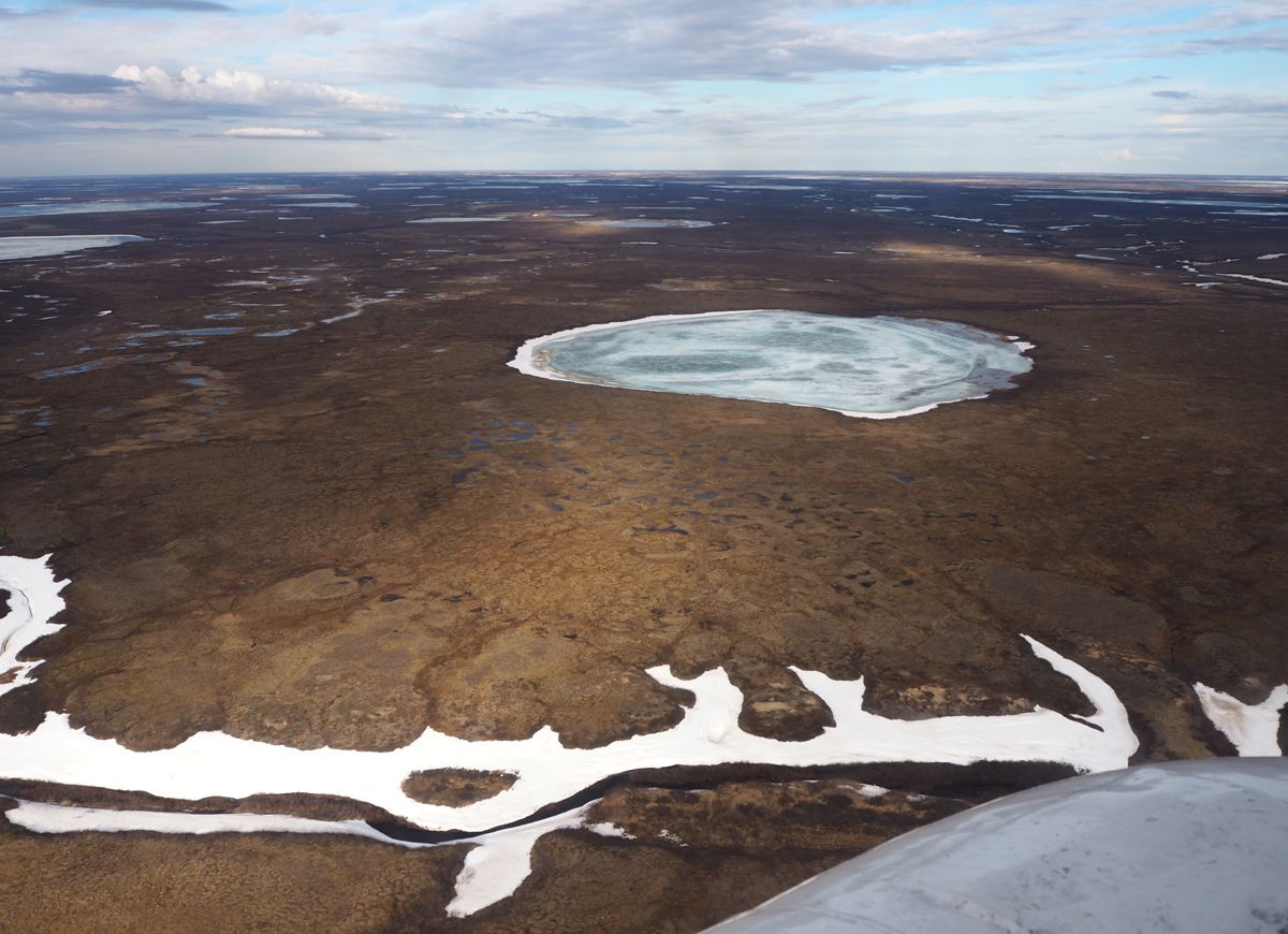 Nenets065.jpg