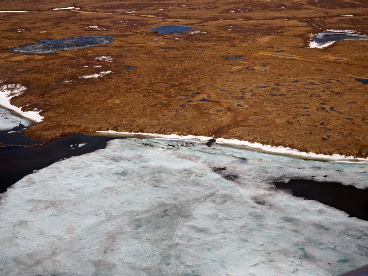 Nenets067.jpg