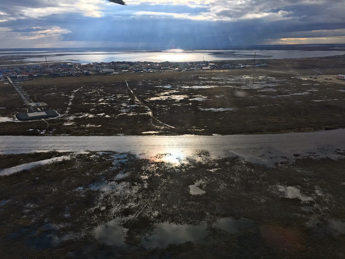 Nenets068.jpg