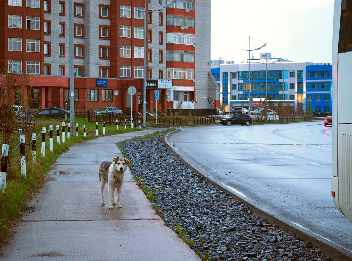 NovyUrengoy011.jpg