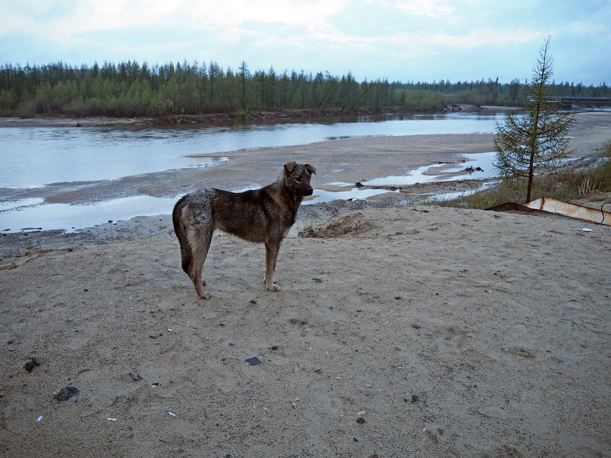 NovyUrengoy015.jpg