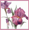Image hosting by Photobucket