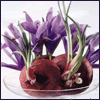 Image hosting by Photobucket