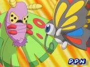 [PokeCommunity.com] ~General Pokemon Anime Picture Club~
