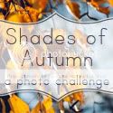 Shades of Autumn Photo Challenge