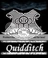 Quidditch Information