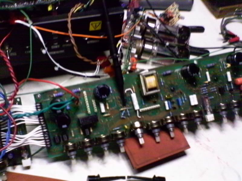 IMAG0207-Copy.jpg