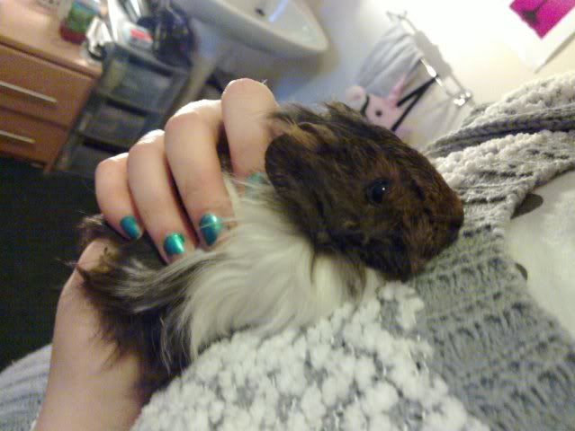 20100204_002.jpg