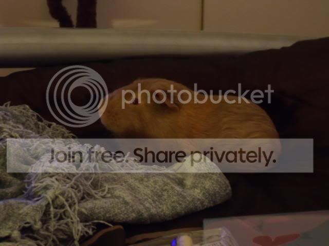 DSCF0576.jpg