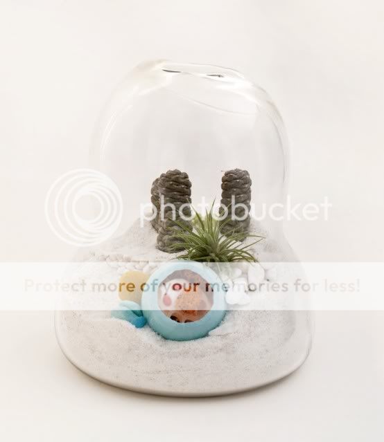 أحلى مزهريات للمكتب Mini-terrarium-4-554x639