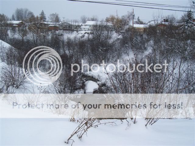 Pour ceux qui aiment la neige(10 photos) 23novembre027