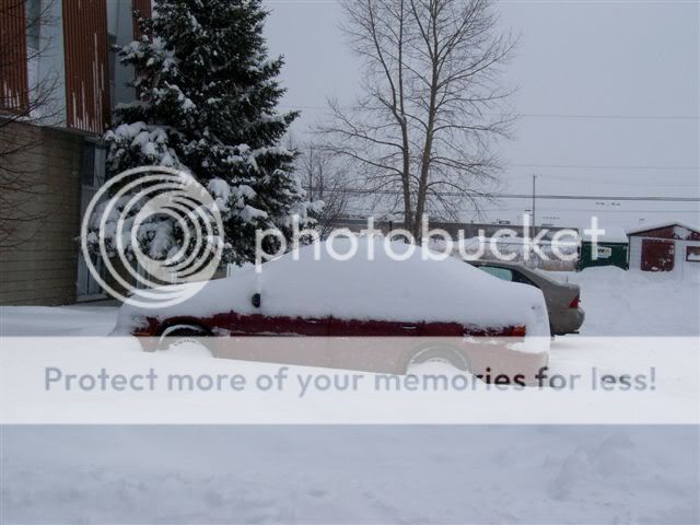 Pour ceux qui aiment la neige(10 photos) 23novembre031