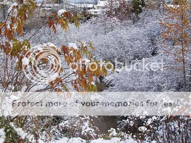 première neige(1 photo) Octobre22036