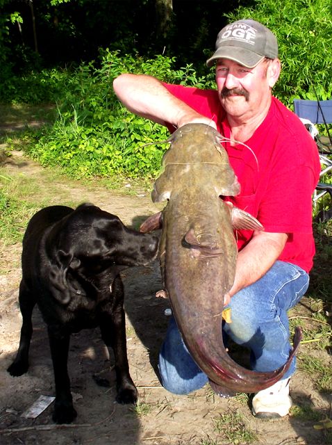 Some 2012 flathead 061512Bsz