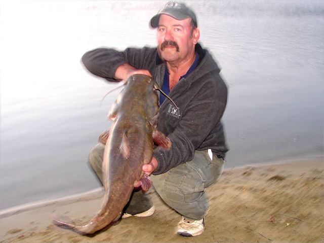 Some 2012 flathead 071012sz