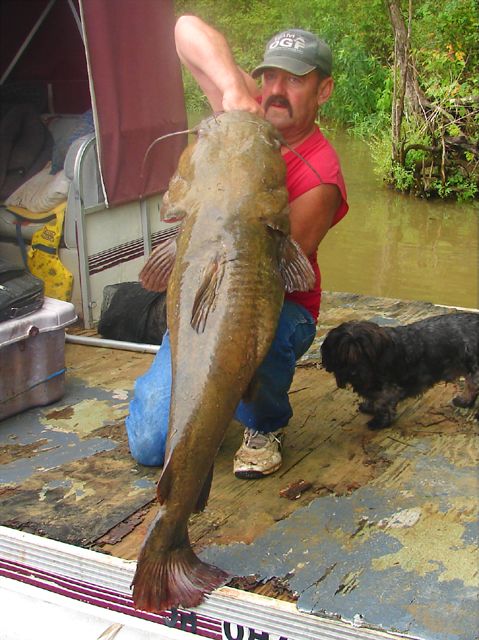 Some 2012 flathead 072812R56sz