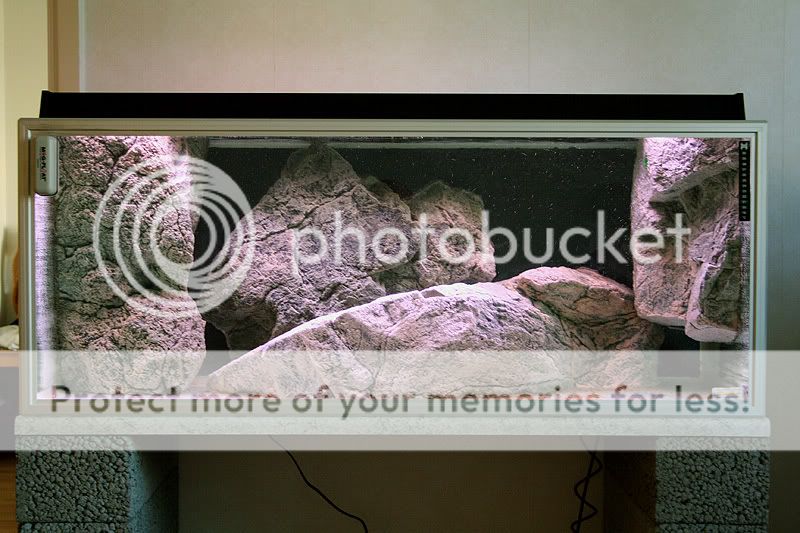 Fotos de acuario con módulos Back To Nature Tankpic1