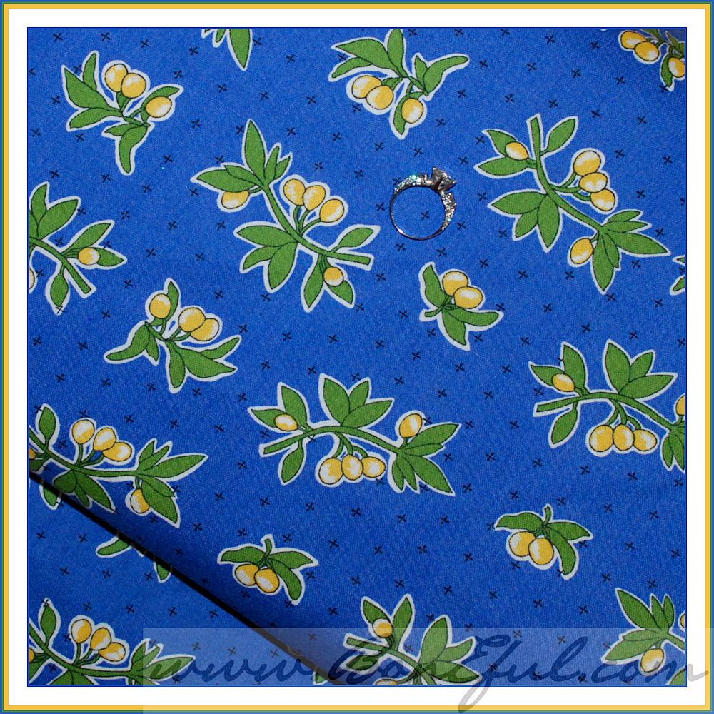 BOOAK Fabric VTG Feedsack FRUIT* Leaf Retro Lemon Apron Blue Dot OOP 