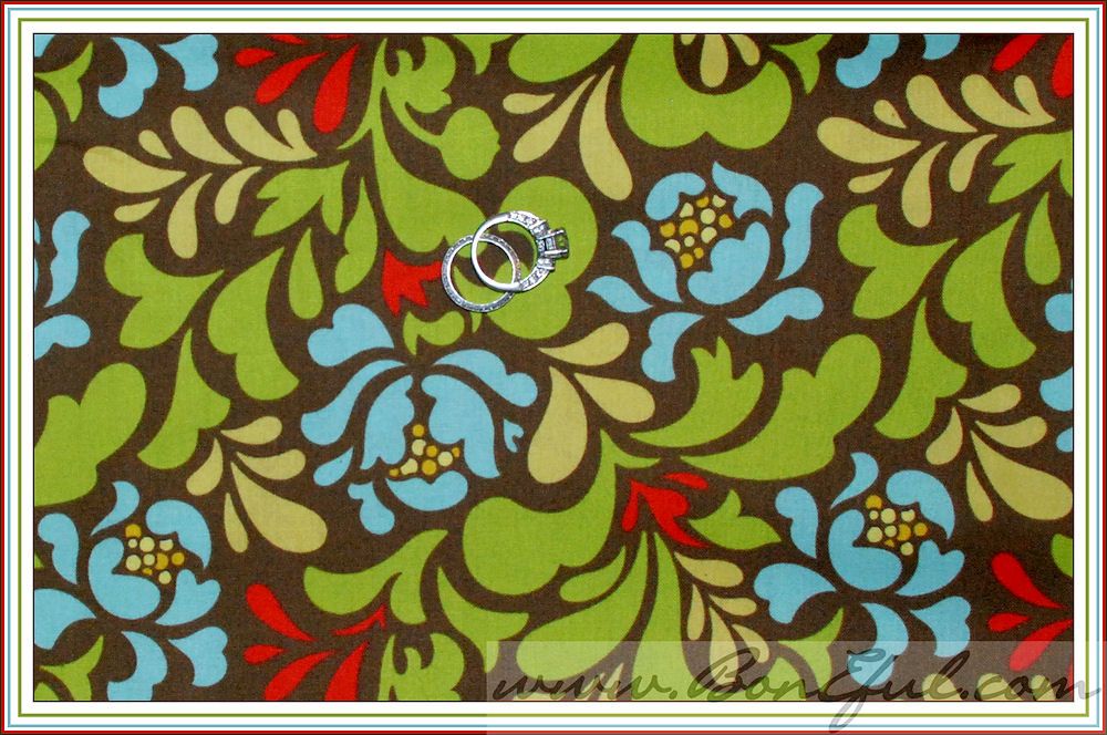 BOOAK Fabric Heather Bailey Floral Pop Garden Holiday Brown Red Lime 