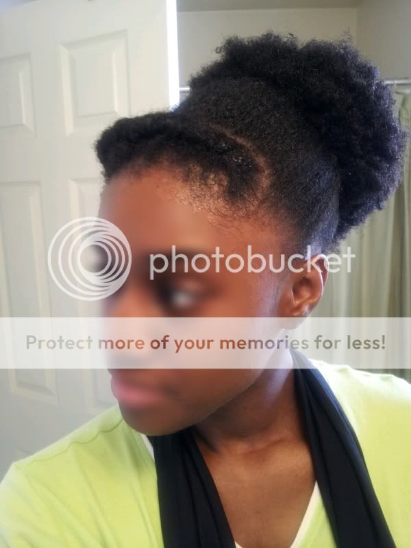 Hypnotic Glamour Beauty Blog: Natural Hair Styles