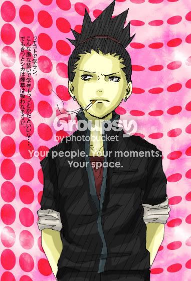 User Image