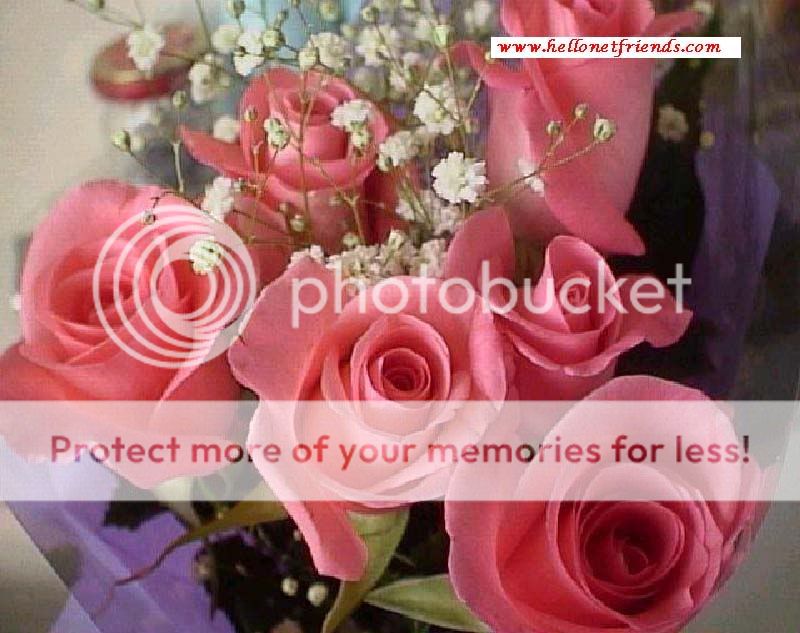 GALLERIE DE ROSES Roses_For_Niki_02