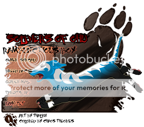 User Image