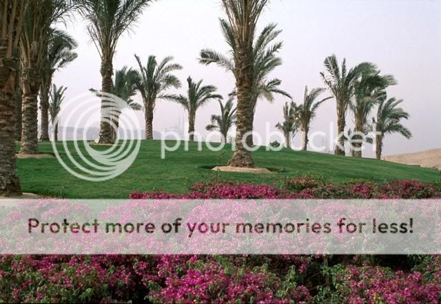 حديقة الأزهر جنة في قلب القاهرة Al-AzharPark